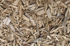 biomass boilers Caldecotte